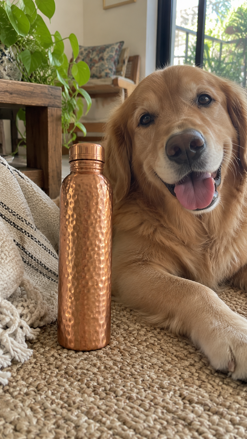 AI-generated copper bottle lifestyle scene at the gym